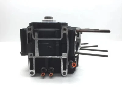 Estuches centrales izquierdo derecho motor Harley-Davidson Road King Custom 2004 FLHRS 3220x Foto 1 de 4