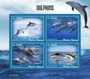Sierra Leone 2019 MNH Marine Animals Stamps Dolphins Spinner Dolphin 4v M/S - Picture 1 of 1