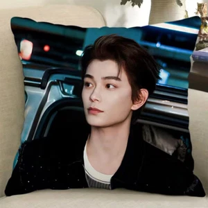 Ding Yuxi Student Bedroom 40*40cm Pillow Cushion - Picture 1 of 1