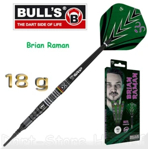 19768 Bull's Softdarts "Brian Raman The Riddler", 18g - Picture 1 of 4