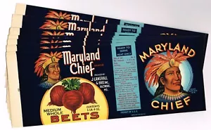 X10 GROSSHANDEL SET ORIGINAL DOSEN ETIKETTEN VINTAGE 1920ER JAHRE INDIAN MARYLAND CHIEF #3 - Bild 1 von 2
