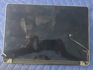 Genuine Apple MacBook Pro 13" Early 2015 A1502 LCD Display Assembly For Parts - Picture 1 of 3
