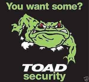 NEW 2x TOAD CAR/VAN ALARM WINDOW REPLACEMENT STICKERS. new DESIGN BARGAIN BUY - Picture 1 of 1