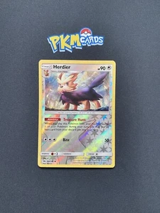 Pokémon TCG Herdier Sonne & Mond Base Set 104/149 Reverse Holo LP. - Bild 1 von 3
