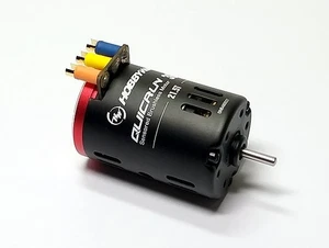 HOBBYWING QUICRUN G2 3650SD 21.5T 1800KV RC Model Sensored Brushless Motor IM395 - Picture 1 of 5
