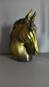 Pegaso - Foto 1 di 3