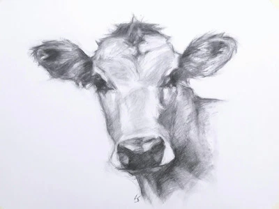 Dibujo Original Jersey Vaca Carbón - 15.5" x 11.5"   Foto 1 de 4