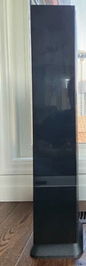 RARE VINTAGE MEMOREX CD FLOOR TOWER STORAGE CABINET RACK CASE WITH DOOR BLACK - Picture 1 of 7