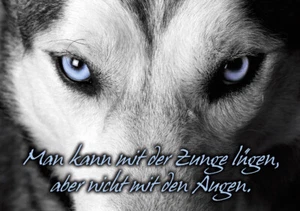 DenkARTen - Postkarte im Format 15 x 10cm - Sprüche - Fotokarten - Man kann mit  - Bild 1 von 1