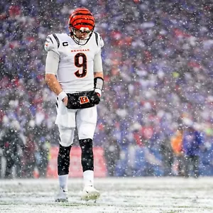Joe Burrow 8X10 Snow Game Photo - Cincinnati Bengals - NFL - Picture 1 of 1