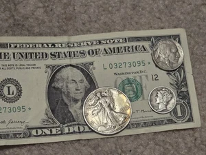 Junk Drawer Combo! Star Note / Walking Liberty / Mercury Dime / Buffalo Nickel - Picture 1 of 1