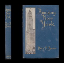 1913 Mary MacDonald braun Amazing New York denkende Frau suffragists Shopping