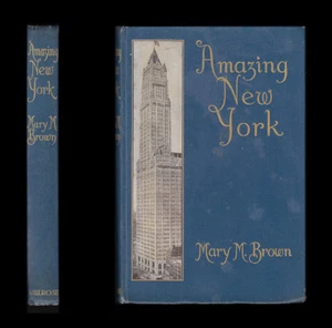 1913 Mary Macdonald Brown AMAZING NEW YORK - Thinking Woman SUFFRAGISTS Shopping - Bild 1 von 12