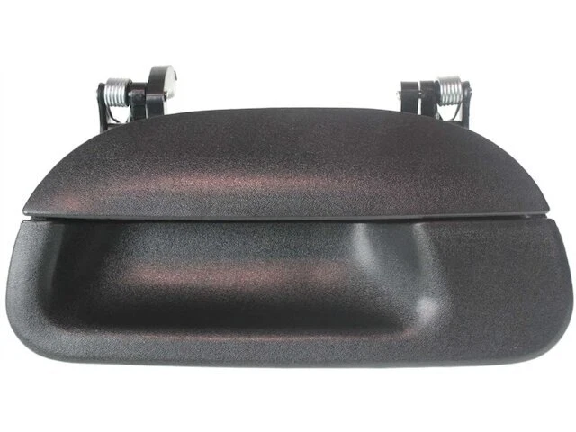 Manija de repuesto para puerta trasera AP para Ford F150 Heritage 2004 38CPRZ Foto 1 de 1