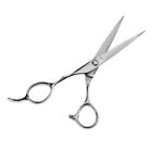 6.1" Professional Stainless Steel Hair Cutting Scissor Salon Barber Shears