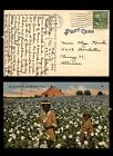 Mayfairstamps US 1947 Houston to Chicago IL Cotton Field Postcard aaj_62991