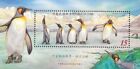 [SJ] Taiwan Cute Animal Series King Penguin 2006 Bird (ms) MNH