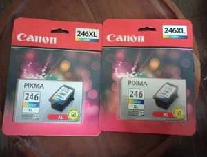 Canon 246XL CL-246XL Tri-Color Tintenpatrone Brandneu Versiegelt 2er Pack - Bild 1 von 2