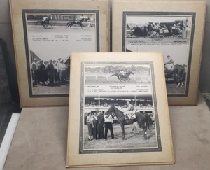 3 Círculo ganador de carreras de caballos originales 1952 vintage Bel Air Marlboro Pimlico MD - Imagen 1 de 7