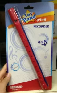 BONTEMPI RB 3042.2 Flûte Avec Brosse Aussi Pour Conditionnement École - Picture 1 of 3