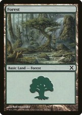 Forest (382) 10th Edition MINT Basic Land MAGIC THE GATHERING MTG CARD ABUGames