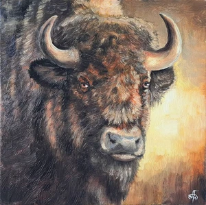 Original oil painting canvas wildlife bison buffalo art realist impressionist - Picture 1 of 24