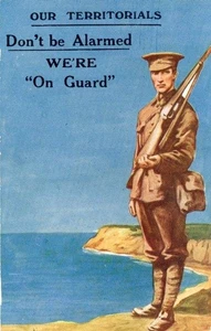 PRINTED WW1 MILITARY POSTCARD OUR TERRITORIALS "DON'T BE ALARMED WERE ON GUARD" - Picture 1 of 2