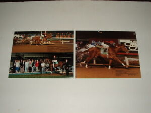 NORTHERN BEAU 1991 HOLLYWOOD PARK HORSE RACE WINNERS CIRCLE PHOTO LOT OF 2