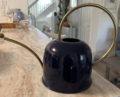 Regador de esmalte azul marinho com bico de latão e alça 11" altura - Imagem 1 de 4