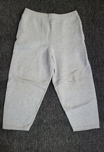 Hanes Boys Sweatpants XS 4/5 Gray Fleece Jogger Pants Youth Kids Toddler Casual - Picture 1 of 6