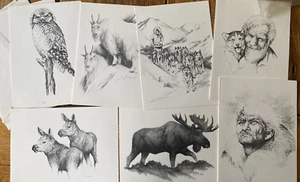 7 tarjetas de notas y sobres de colección de los 80 nativos de Alaska vida silvestre Doug Lindstrand - Imagen 1 de 2