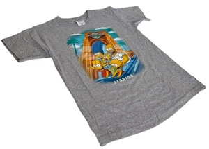 Anvil Youth Universal Studios Florida The Simpsons Gray Shirt Size Medium - Picture 1 of 3
