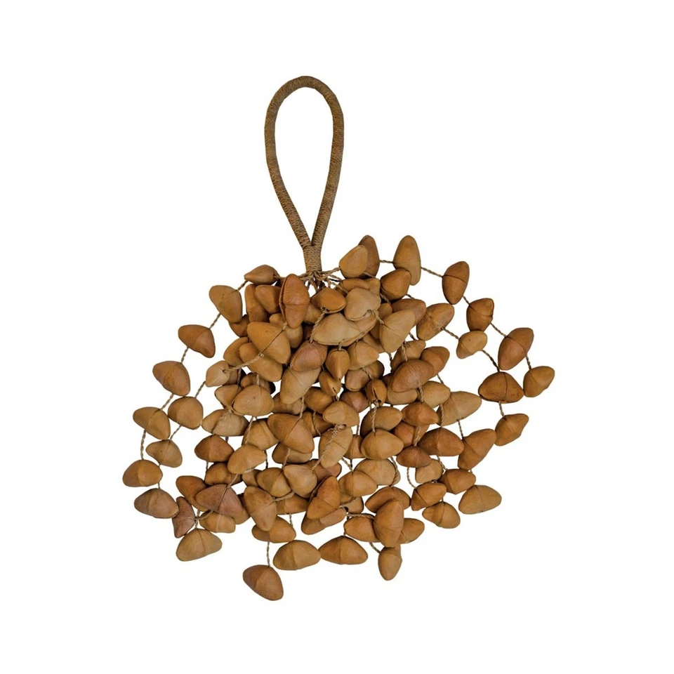 Terré Seed Shaker XXL Cha Cha Nut - Bild 1 von 1