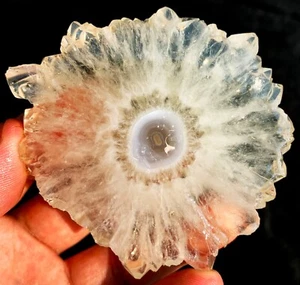 471CT ¡GUAU! Boutique Natural Trapiche Estrella Ágata Cristal Flor Espécimen ia4701 - Imagen 1 de 14