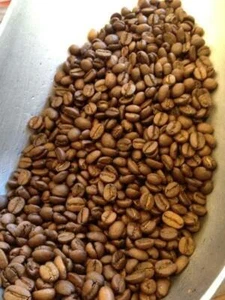 Granos de café tostados frescos costarricenses - bolsas de 1 lb - Imagen 1 de 1