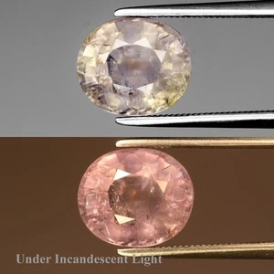 💎 5.10ct 10x8.5mmm Oval Color Change Sapphire - Unheated, Uganda Gem - Picture 1 of 6