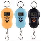 Electronic Scale Mini Hanging Scale Luggage Portable Digital Fish Scale