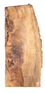MYRTLEWOOD WURZELROHLING DRECHSELN BASTELN HOLZBEARBEITUNG CA. 22,5x10x2,5 ZOLL - Bild 1 von 2
