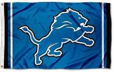 Detroit Lions Flag ~ NFL ~ Large 3'X5' ~ NFL ~ FREE SHIPPING Cover