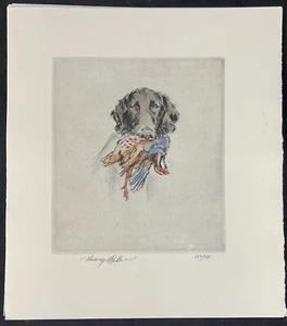 Henry Wilkinson Color Dry Point Etching Flat Coated Retriever Head W/ Partridge - Picture 1 of 4