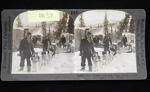 Gold Miners & Dog Team Arctic Circle Alaska Keystone Stereoview #11530 - Picture 1 of 2