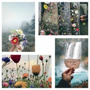 Ikea YLLEVAD Art card, Flowers 4x6 " 4 Pack Floral NWT Scenery Outdoors Rustic - Picture 1 of 3