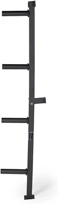 Titan Fitness Weight Plate Wall Mounted Storage Rack, Angled 4-Peg 800 LB,  - Image 1 of 4