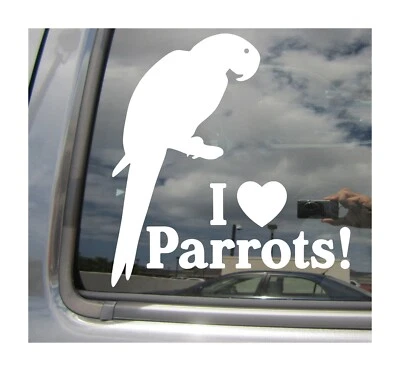 I Heart Parrots - Love Bird Pet Parrot - Calcomanía adhesiva de vinilo para ventana de coche 01008 Foto 1 de 2