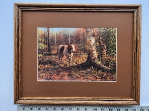 Owen Gromme BRITTANY ON POINT-WOODCOCK 11x14 enmarcado 5,5 710 - Imagen 1 de 7