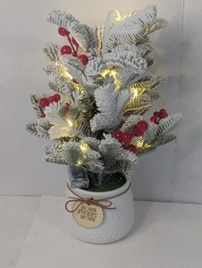 Albero di Natale bianco piccolo da tavolo natalizio con luci a batteria - NUOVO - Foto 1 di 6