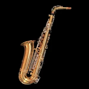 Jupiter Altsaxophon JAS-769 Musikinstrument mit Tragetasche - Bild 1 von 14