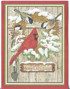 Vtg CHRISTMAS CARD 6x7.5 Red Cardinal & Other Birds *FRONT ONLY - Picture 1 of 1