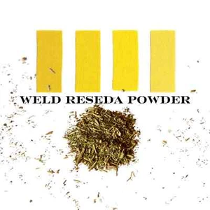 Weld Natural Plant Dye - Reseda Luteola - Eco-Friendly Yellow Dye for Yarn - Picture 1 of 8