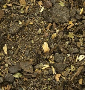 Reality In Scale Ground Base Scatter for Groundwork- Dark Brown (155ml) - Picture 1 of 1